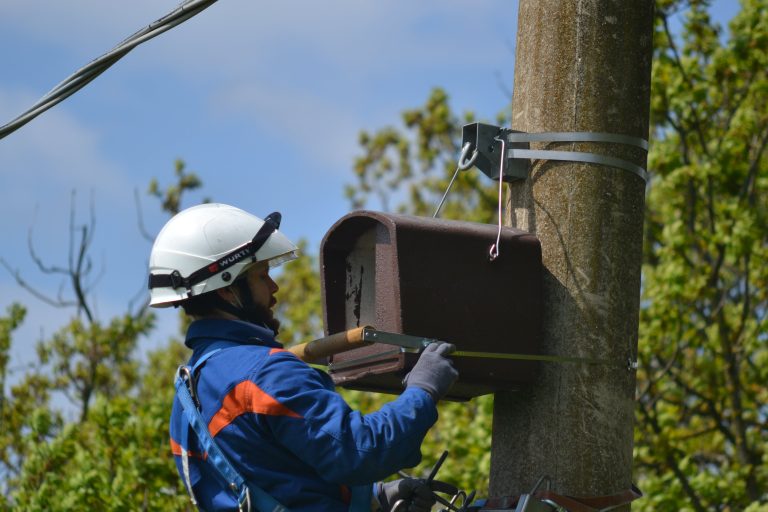 Parco del Conero e Enel insieme per la Biodiversità. Installati i nidi artificiali di Gheppio e Barbagianni sui pali di sostegno