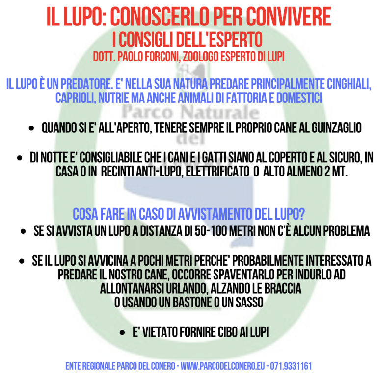 Il lupo: conoscerlo per conviverci