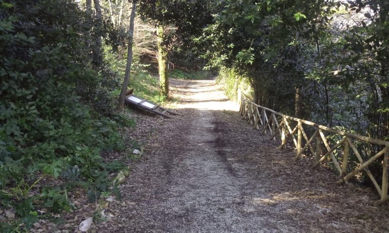 Il Parco del Conero ha progettato il recupero del Bosco Mancinforte di Camerano