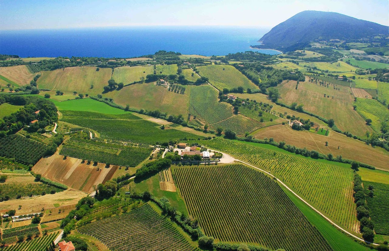 Progetto di implementazione e messa in rete di pratiche agronomiche innovative