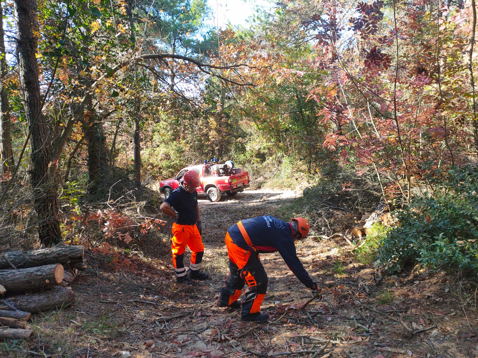 Al via gli interventi di selvicoltura in 27 ettari del Parco per 258 mila euro per la prevenzione di incendi boschivi.