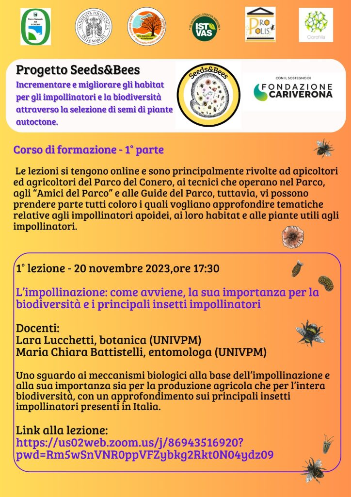 Progetto Seeds&Bess: lunedì 20 novembre alle 17.30 corso online