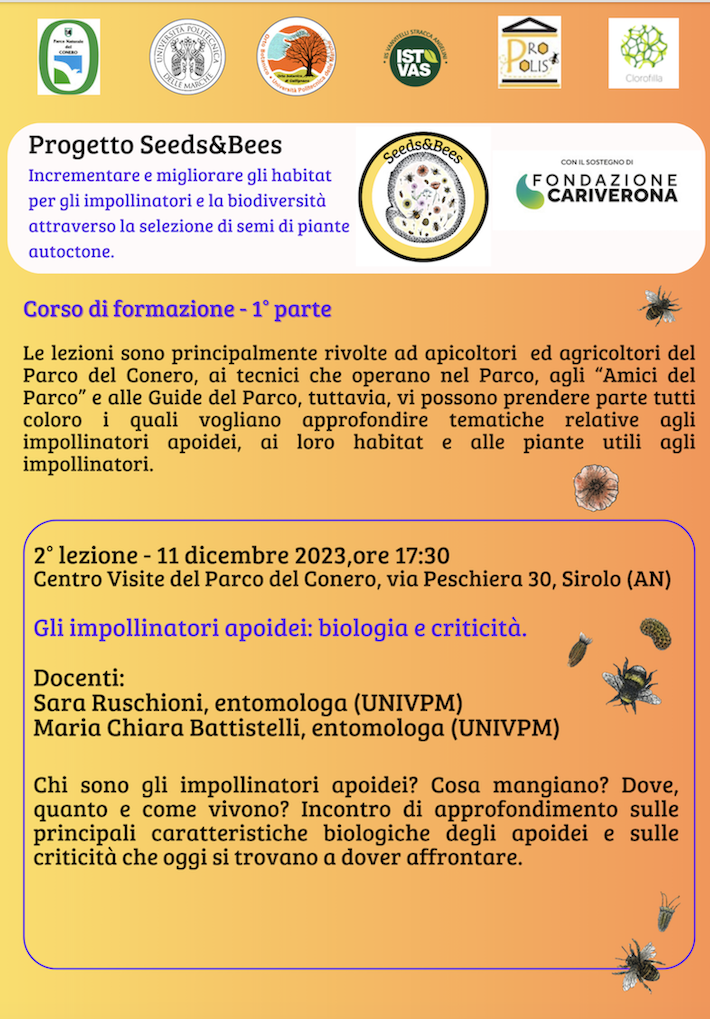 Lunedì’ 11 dicembre alle 17.30 al Centro Visite del Parco 2′ lezione nell’ambito del progetto Seeds&Bees