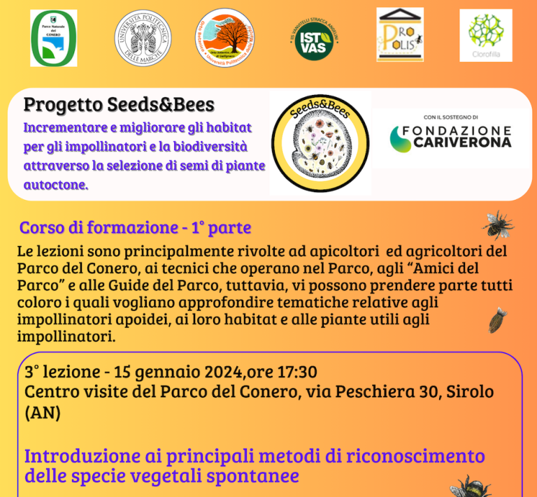 Lunedì 15 gennaio ore 17.30 al Centro Visite del Parco si parla di metodi di riconoscimento delle specie vegetali spontanee col progetto "Seeds&Bees"