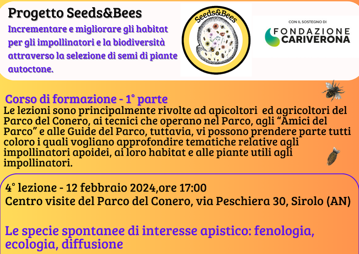 Lunedì 12 Febbraio alle ore 17, 4' appuntamento degli incontri nell'ambito del Progetto Seeds&Bees