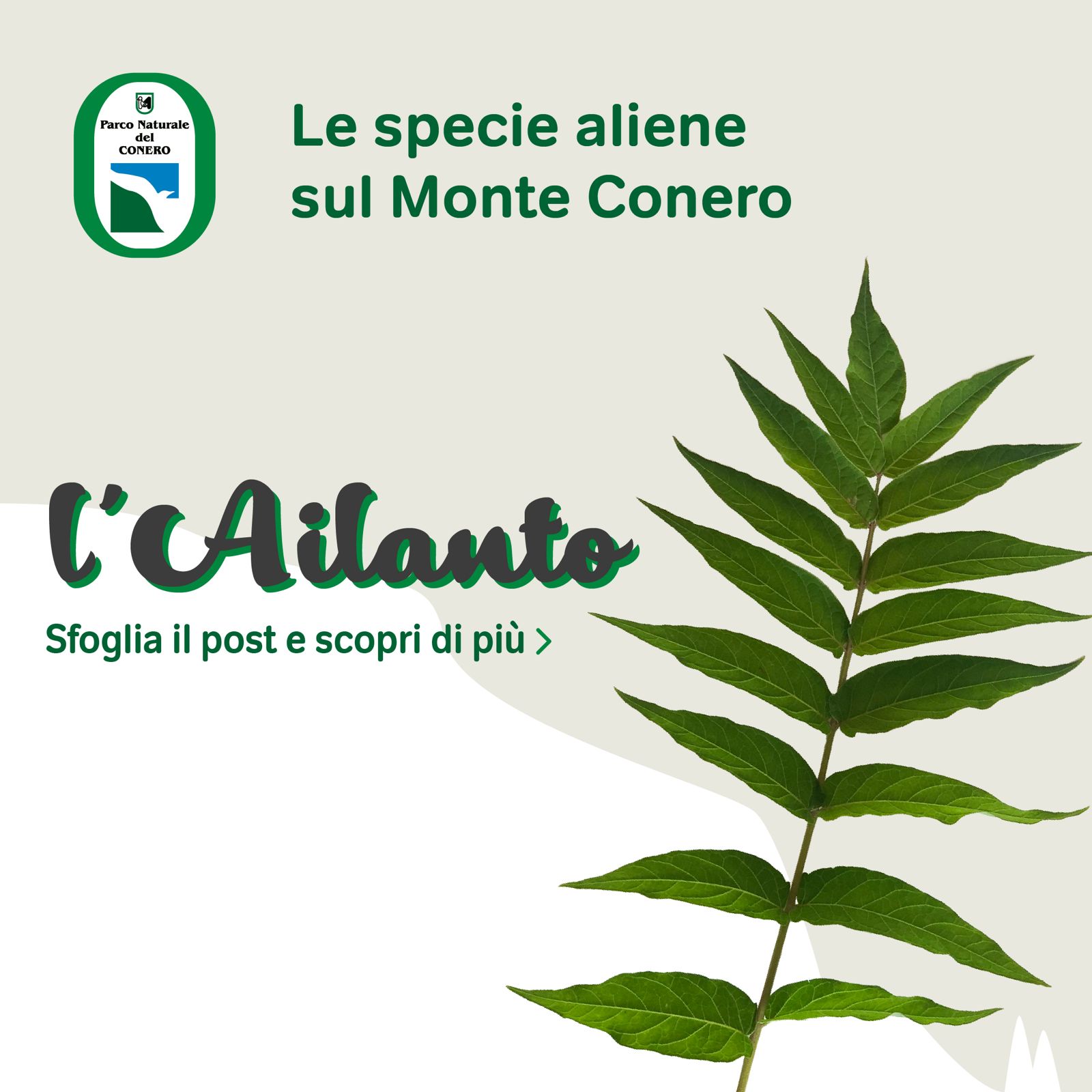 Lavori di eradicazione di Ailanthus altissima in zona "Piani di Raggetti": Piano regionale per il controllo delle specie esotiche invasive”