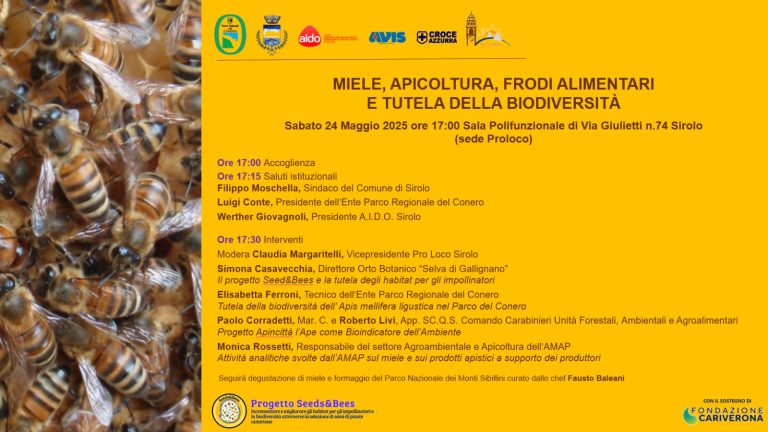 Miele, Apicoltura, Frodi Alimentari e Tutela della Biodiversità: se ne parla sabato a Sirolo