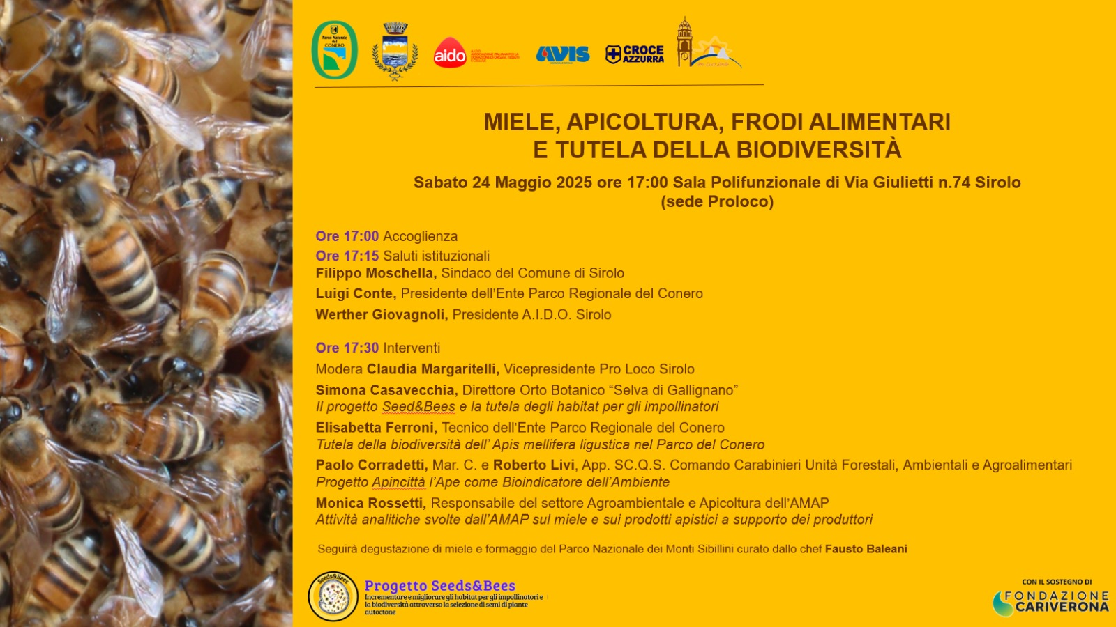 Miele, Apicoltura, Frodi Alimentari e Tutela della Biodiversità: se ne parla sabato a Sirolo