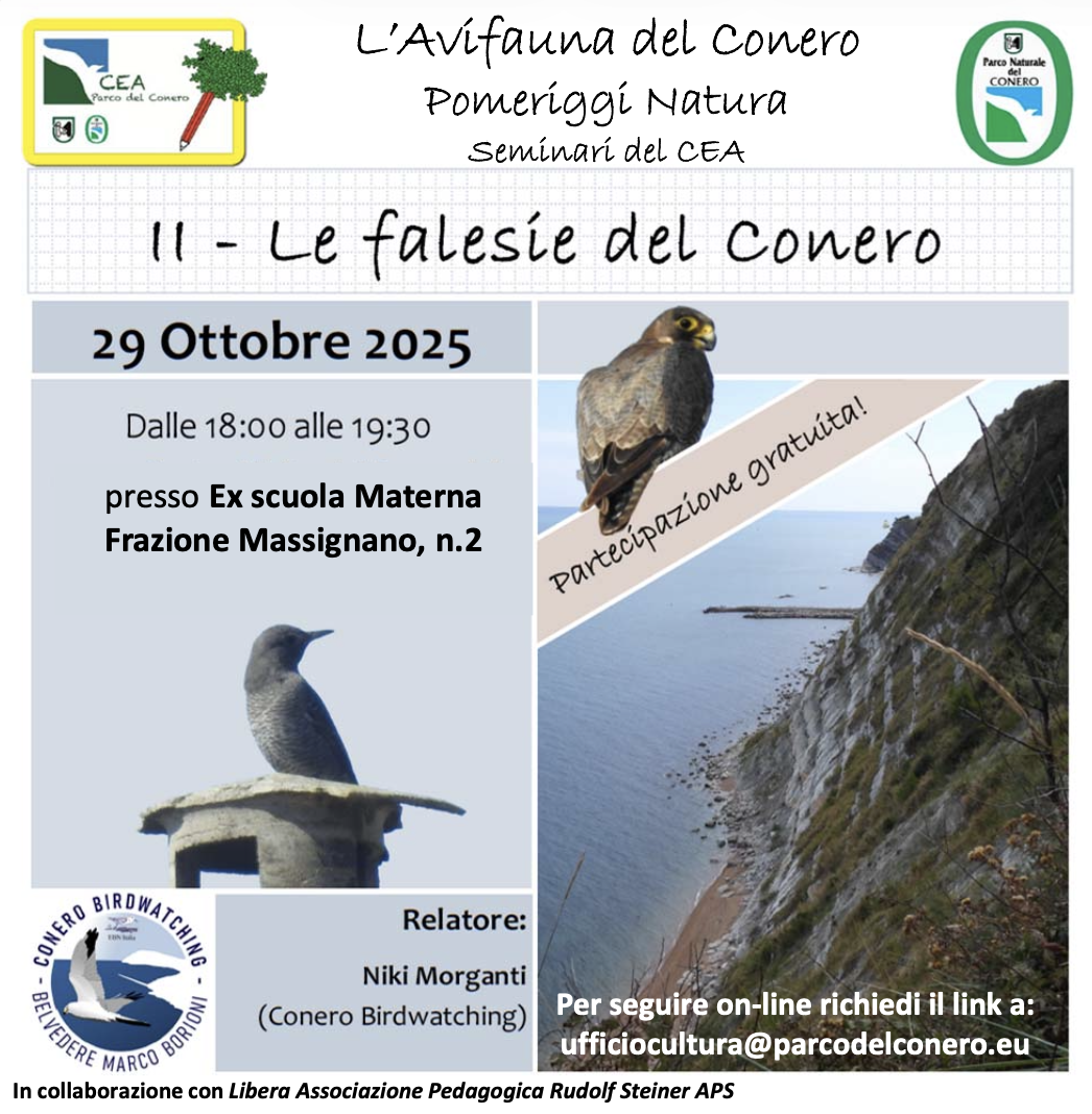 “Le falesie del Conero” nel ciclo Pomeriggi Natura- L’Avifauna del Conero