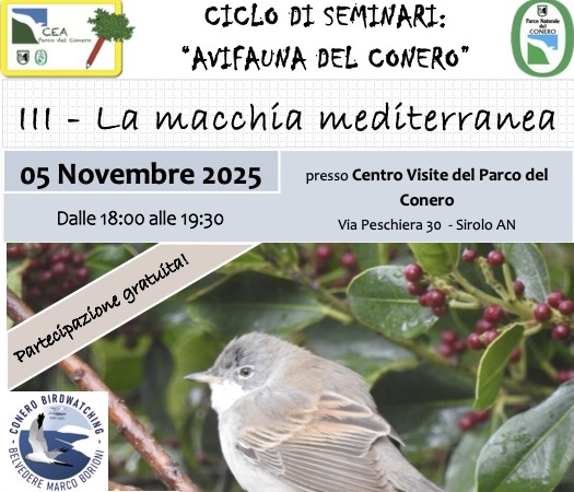 “La Macchia Mediterranea” nel ciclo Pomeriggi Natura- L’Avifauna del Conero